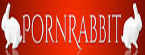 pornrabbit