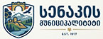 სენაკის მუნიციპალიტეტი